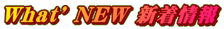 What' NEW 新着情報